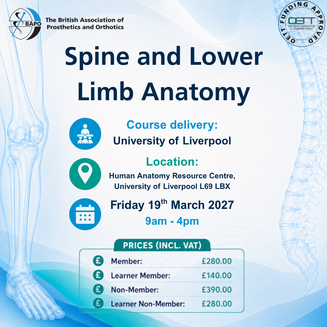 Spine and Lower Limb Anatomy 1